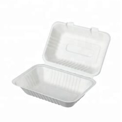 Biodegradable Take Out Rectangular Containers